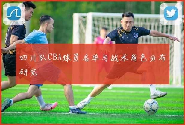 四川队CBA球员名单与战术角色分布研究