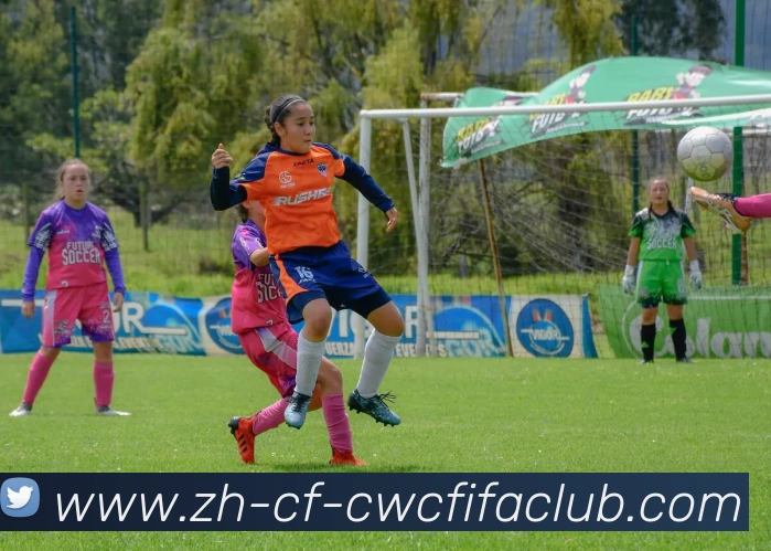 世界杯竞猜平台生态图